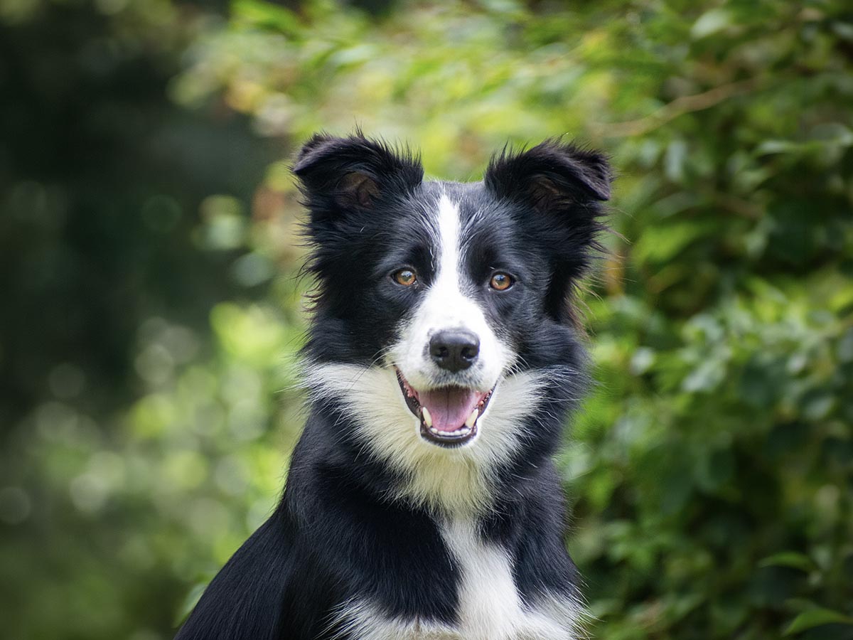 Aha Asbrete Upgrade My Life