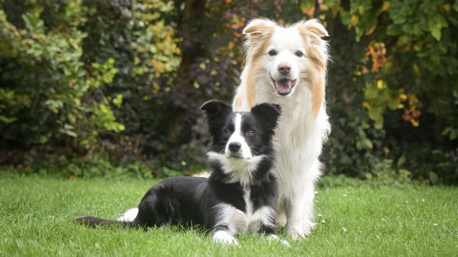 Fotka k novince z roku 2026