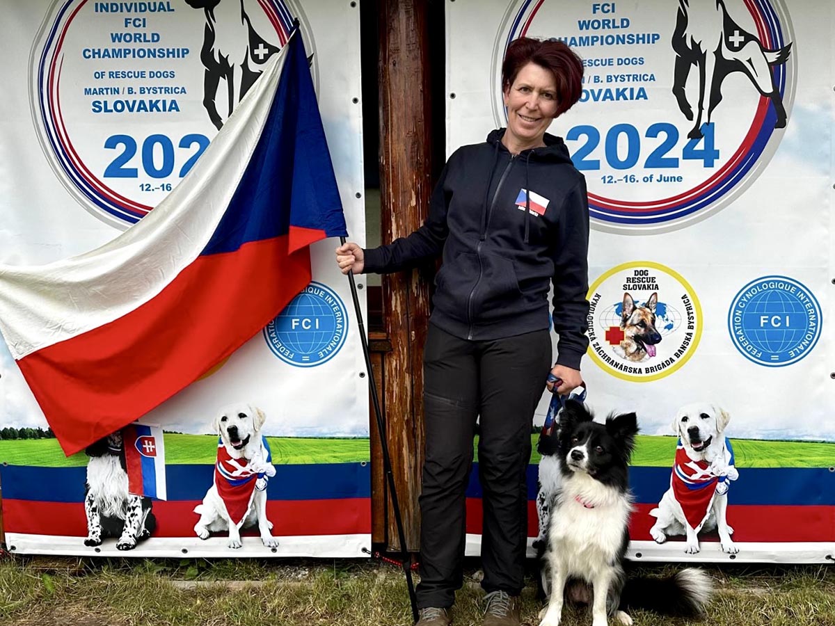 Border kolie Asbrete při práci