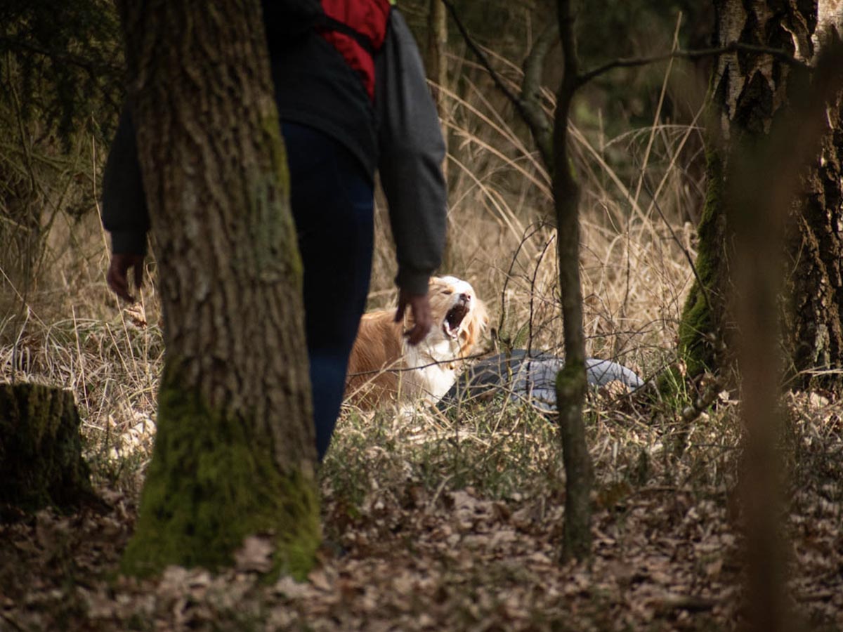 Fotka k archivním novinkám