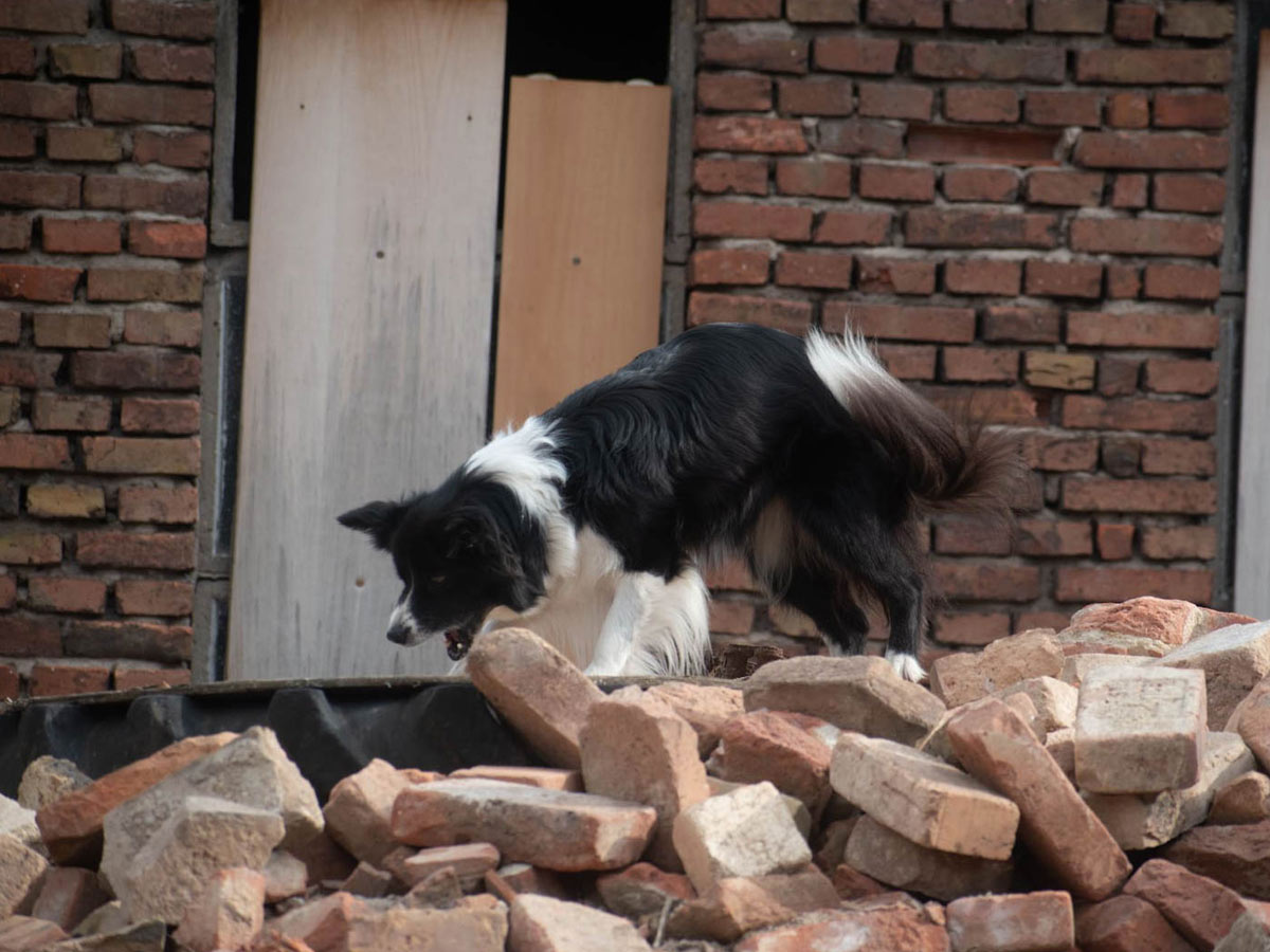 Fotka k archivním novinkám